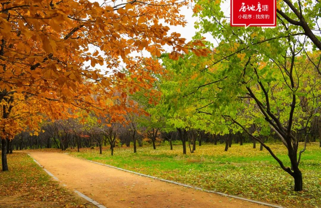 汽修与建材齐飞，带你重新认识长春最“恨铁不成钢”的二环