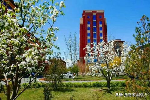 读哪几所大学能进国家电网,读哪些学校容易进国家电网