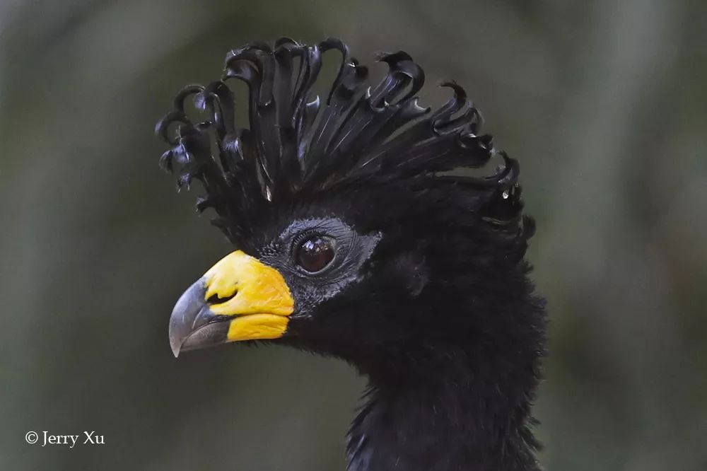 汇率起起伏伏，自然旅行跟着这张表格走，最划算