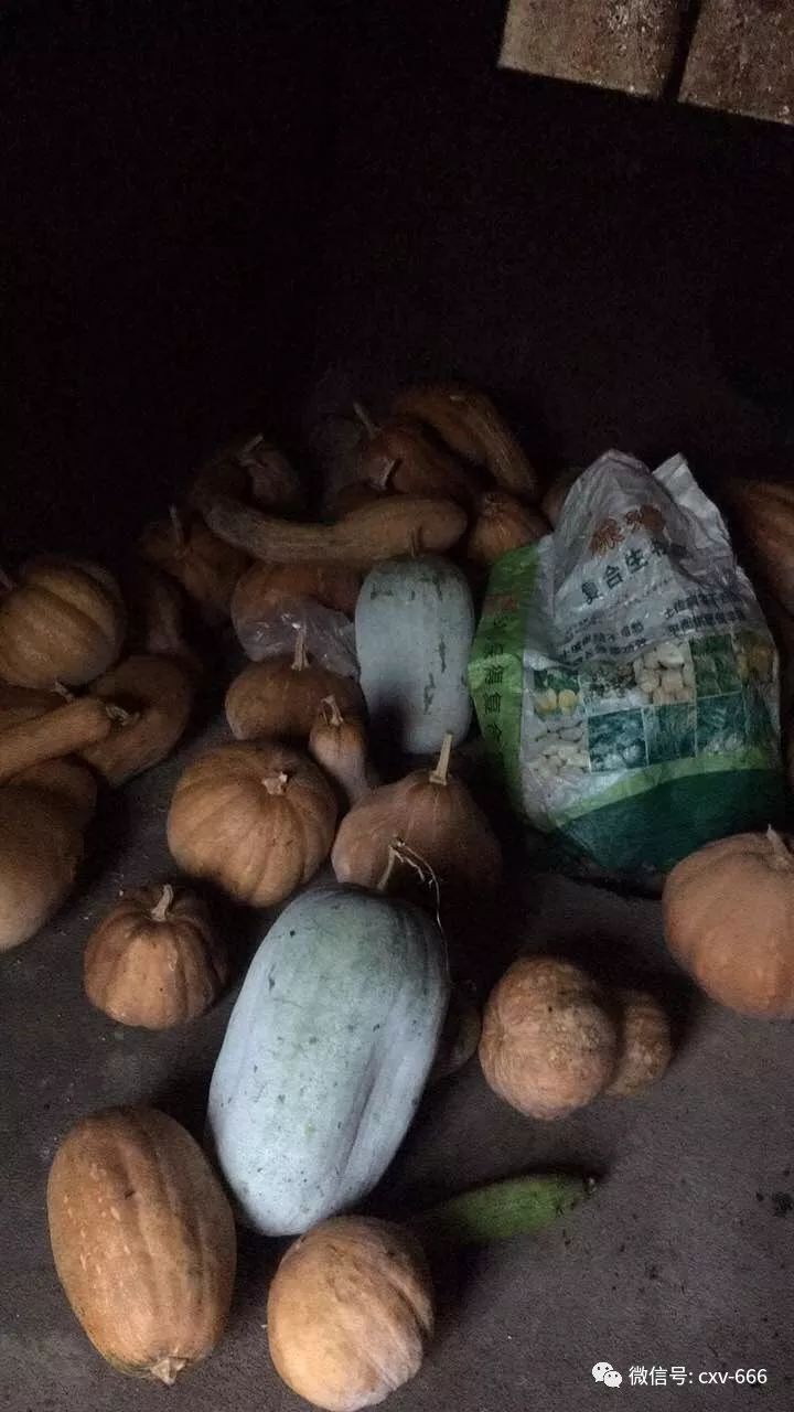 辰溪招聘信息网,辰溪县在线招工