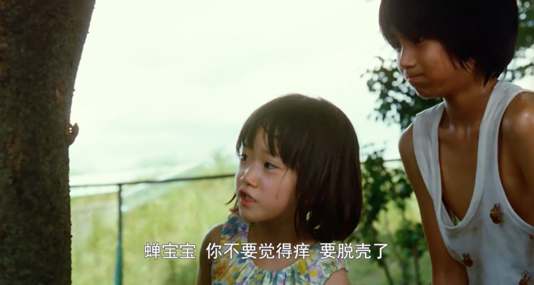 寄生虫背后的小漏洞,寄生虫和小偷家族