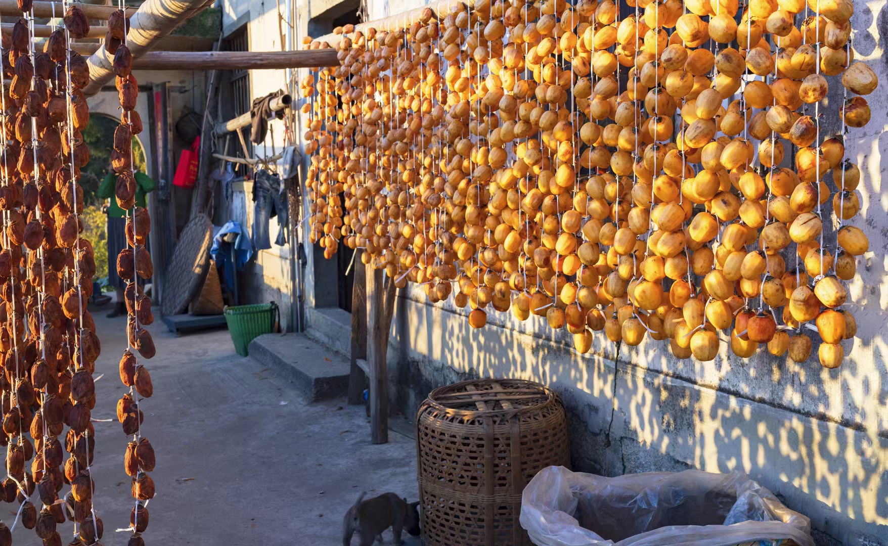 安徽黄山旅游攻略三天自驾游,安徽黄山旅游攻略路线推荐