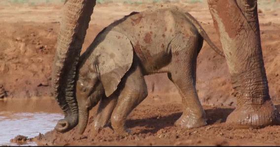 年度最佳女主角范冰冰,颜值与演技力压范冰冰