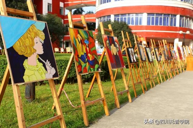 四川省托普信息职业技术学院单招,四川省托普学院单招考试大纲