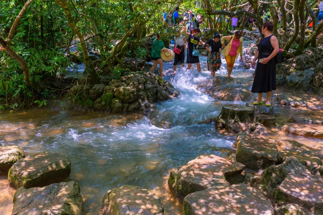 贵州这些景区有5折优惠免票活动,贵州省景区免票政策