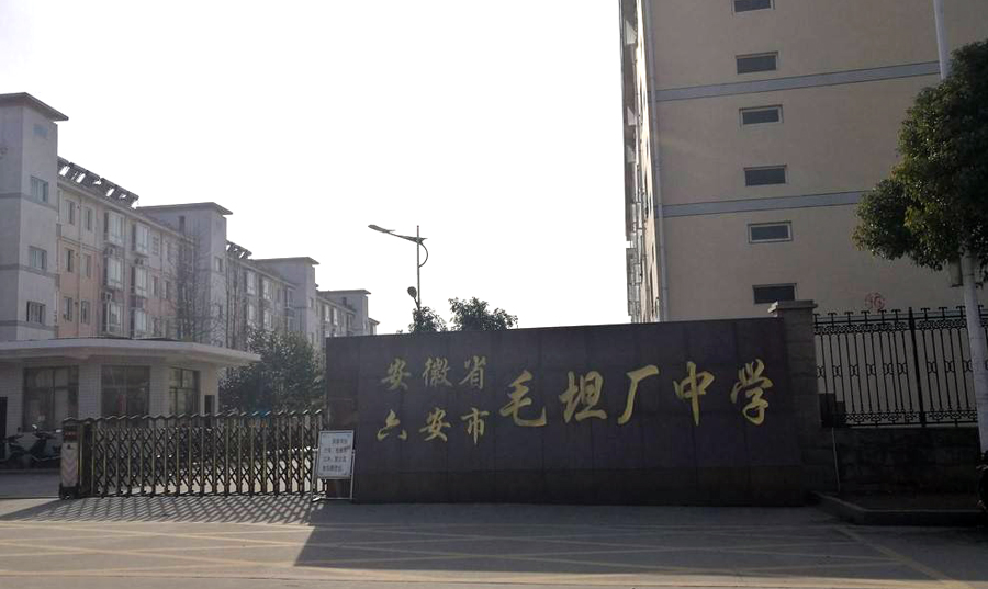 六安裕安区和金安区高中有哪些,六安市金安区有哪些学校