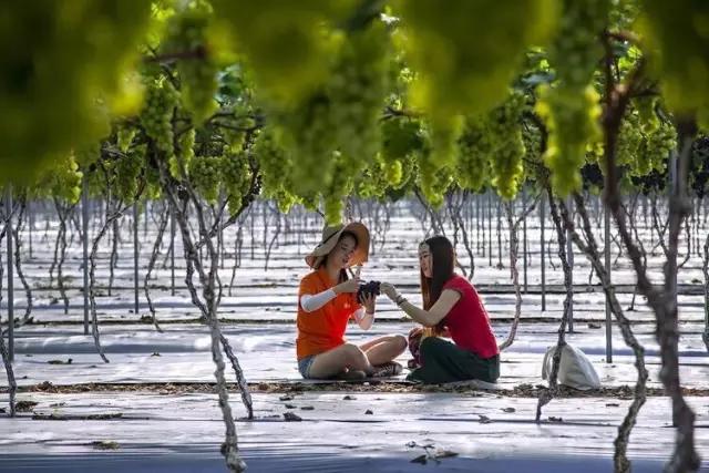 李子柒令人向往的世外桃源生活,李子柒记录的简单淳朴的田园生活