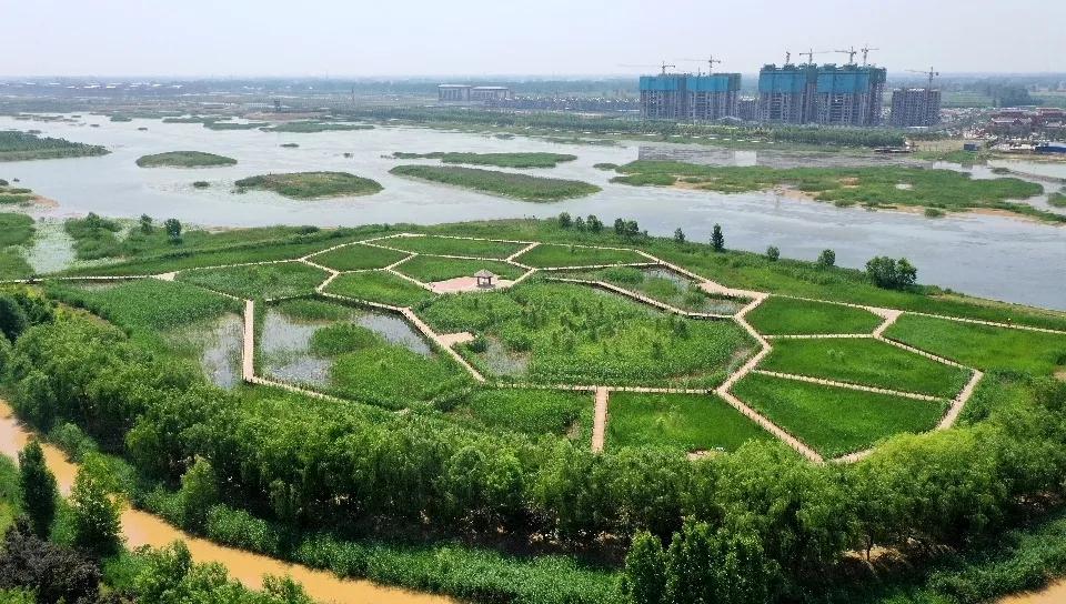 全国林草生物多样性保护成就展,林业生物多样性保护