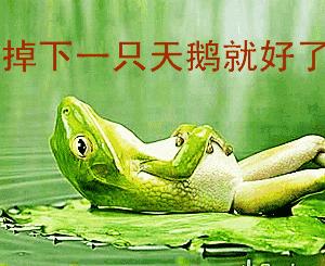 强有效的天然致幻剂，很多人纷纷上瘾，狂“舔蛤蟆”