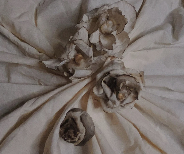 盘点blackpink又丑又贵衣服,盘点blackpink的贵衣服