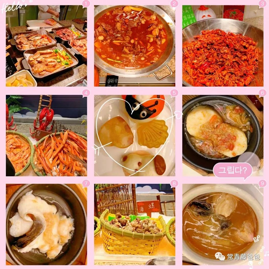 广州长隆游玩攻略水上乐园怎么去,过年去珠海长隆海洋王国游玩攻略