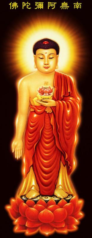 阿弥陀佛大家一起拜佛许愿,供灯祈愿感恩阿弥陀佛