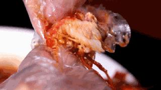 在合肥能吃到全中国的美食,合肥最好吃的鱼头汤滨湖