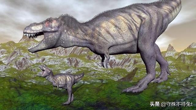 为什么不要叫醒能梦游的人,如果叫醒正在梦游的人会发生什么