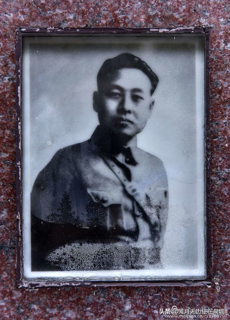 济南一颗梧桐树,济南的法国梧桐