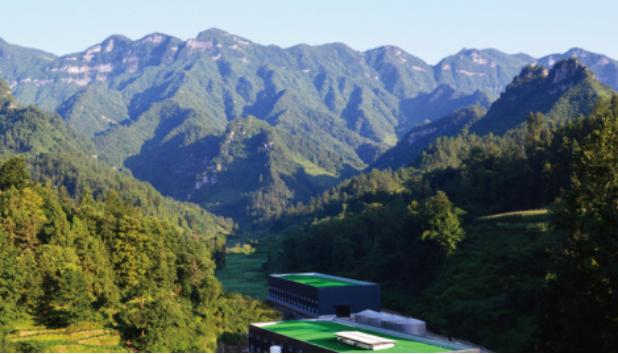 正气存内邪不可干,正气存内好运自来学习心得体会