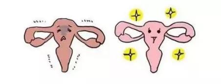 产后妈妈如何看自己月经恢复,产后怎么判断子宫恢复位置正常