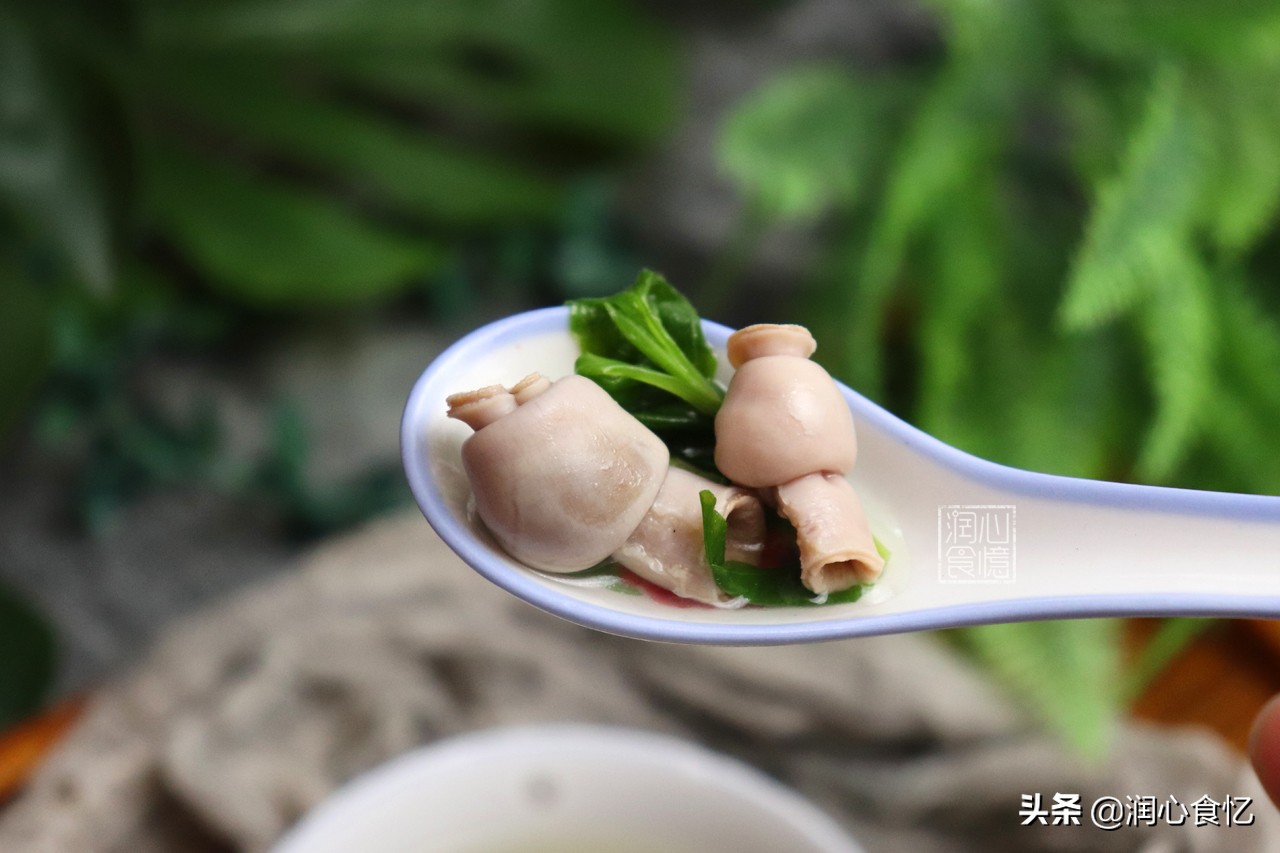 快立夏了，碰见这种时令野菜抓紧吃，营养足鲜又嫩，过阵子就少了