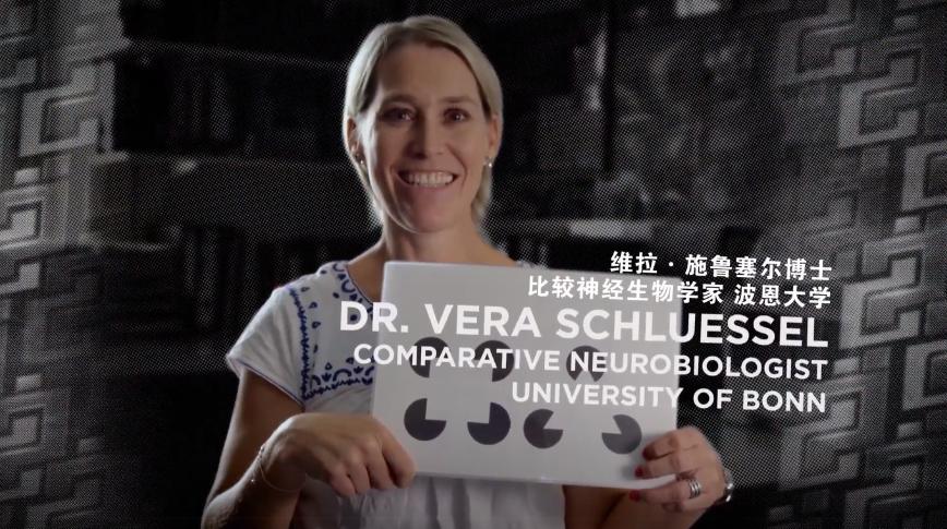 被“青春伤痛文学”冤枉了十几年，金鱼：我的记忆真的不止7秒