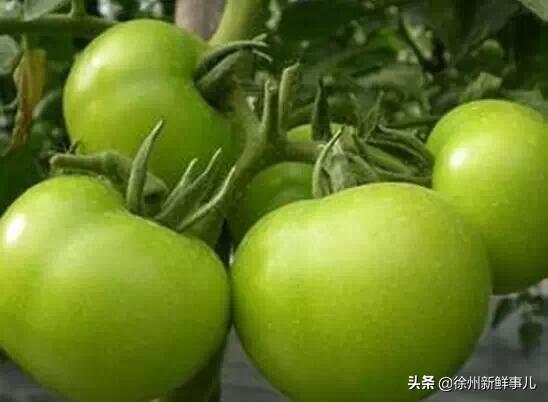 这道夏天常吃的菜，把4岁娃送进医院抢救