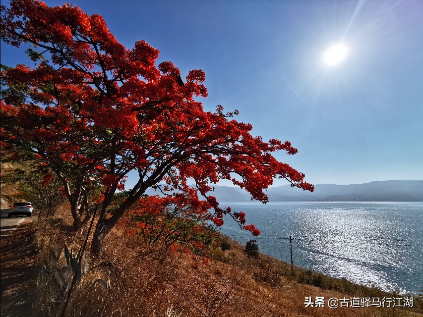 成也螺旋藻，败也螺旋藻～这个中国唯一的湖泊，未来该何去何从？