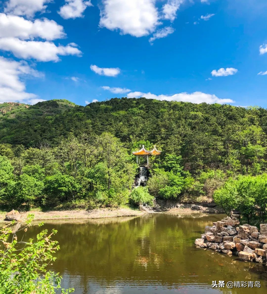 谁说东北城市只有烧烤？它不服！