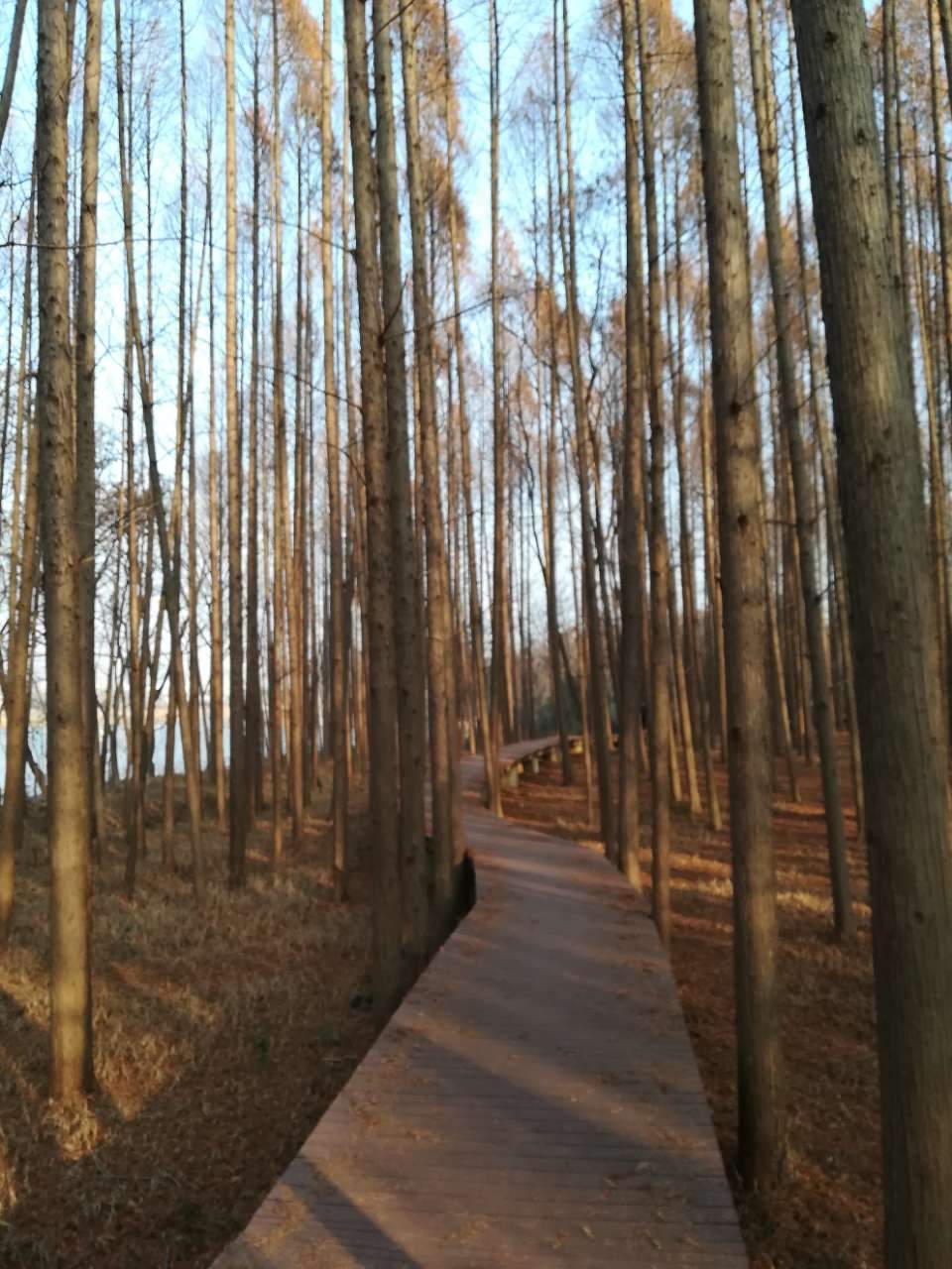 淮南湿地风光视频,淮南公园景点大全