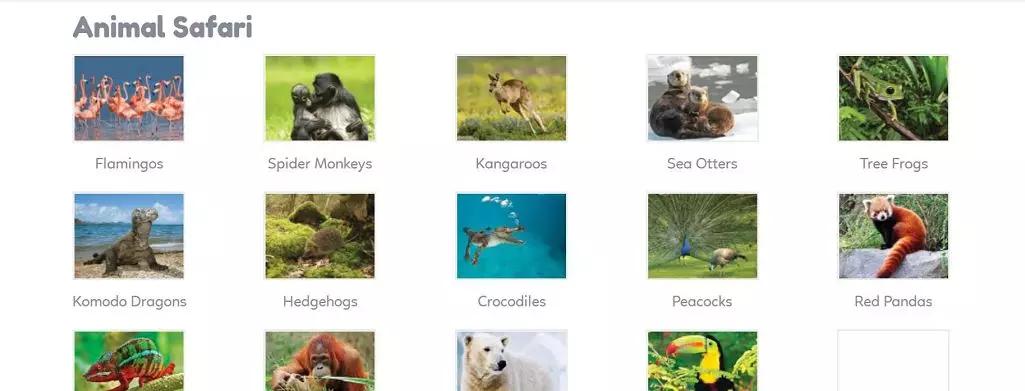 十大有趣的宝藏网站,十大实用宝藏网站