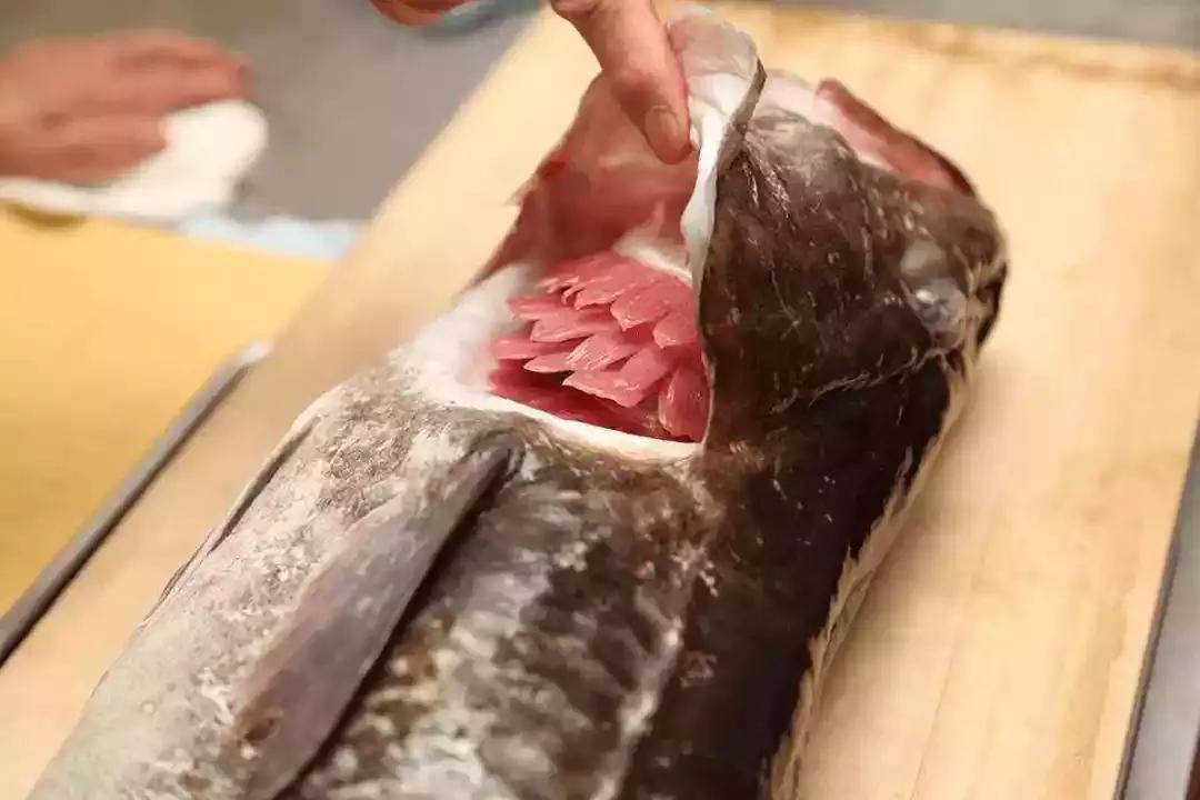 快死的鱼变活鱼，竟然只要往鱼嘴里加点这个就可以实现了