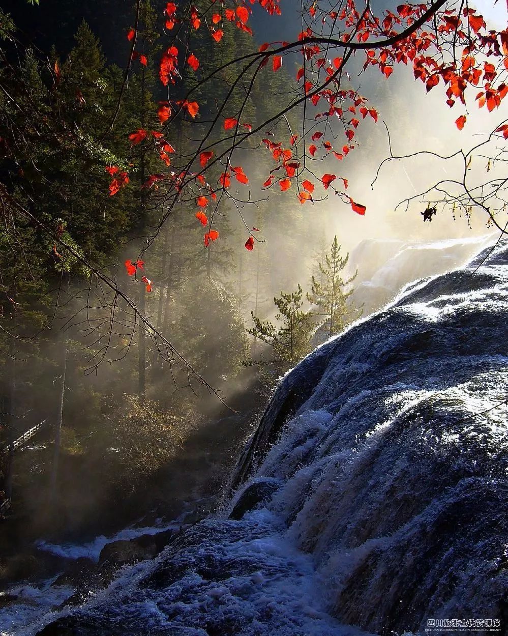 2019九寨沟散客如何进景区,最新九寨沟景区门票免费政策