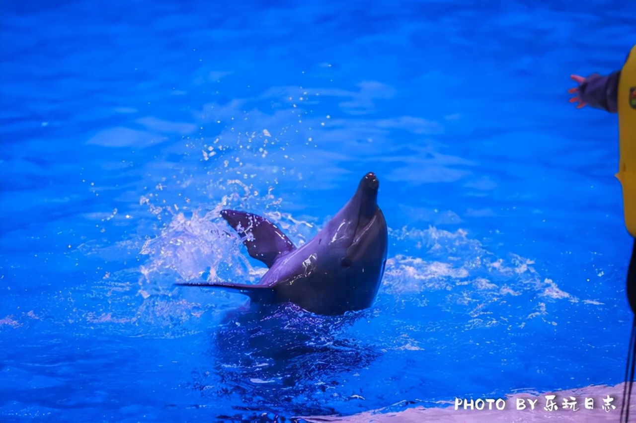 珠海亲子游必玩景点,珠海一日游适合带孩子玩的景点