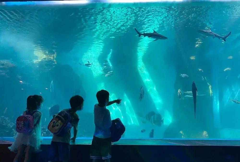 直奔厦门,厦门夏日旅行攻略