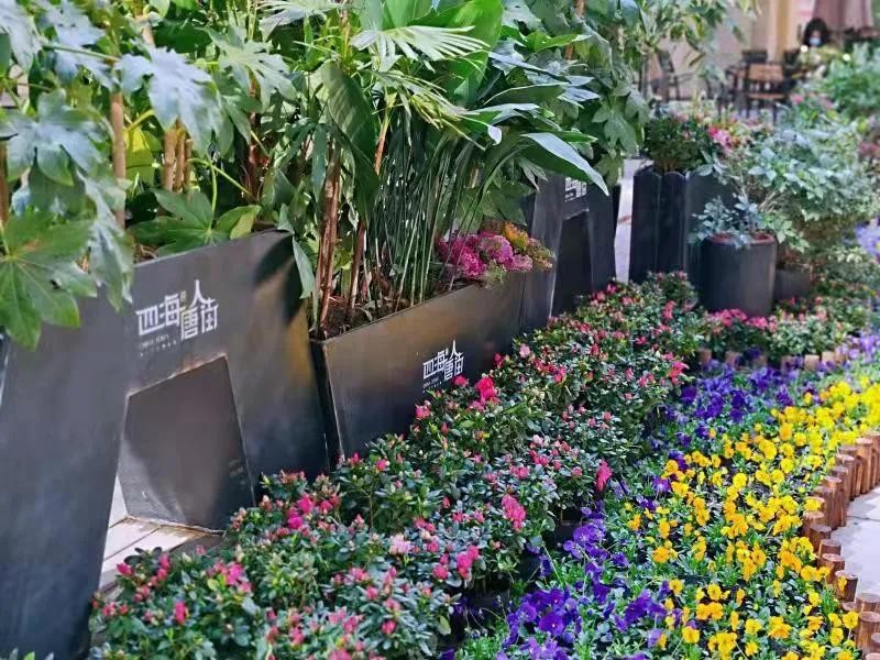 就地过年的新气象,原来就地过年也可以很欢乐