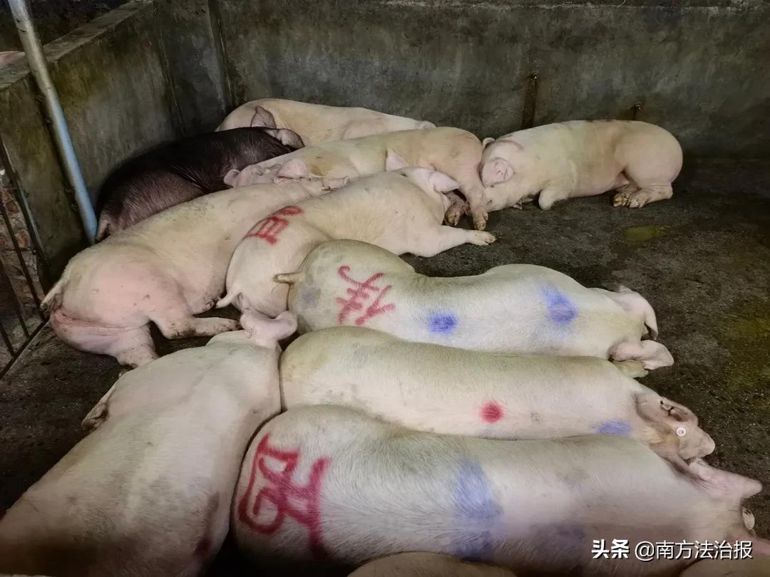 食话食说食品安全知识,食品安全必知