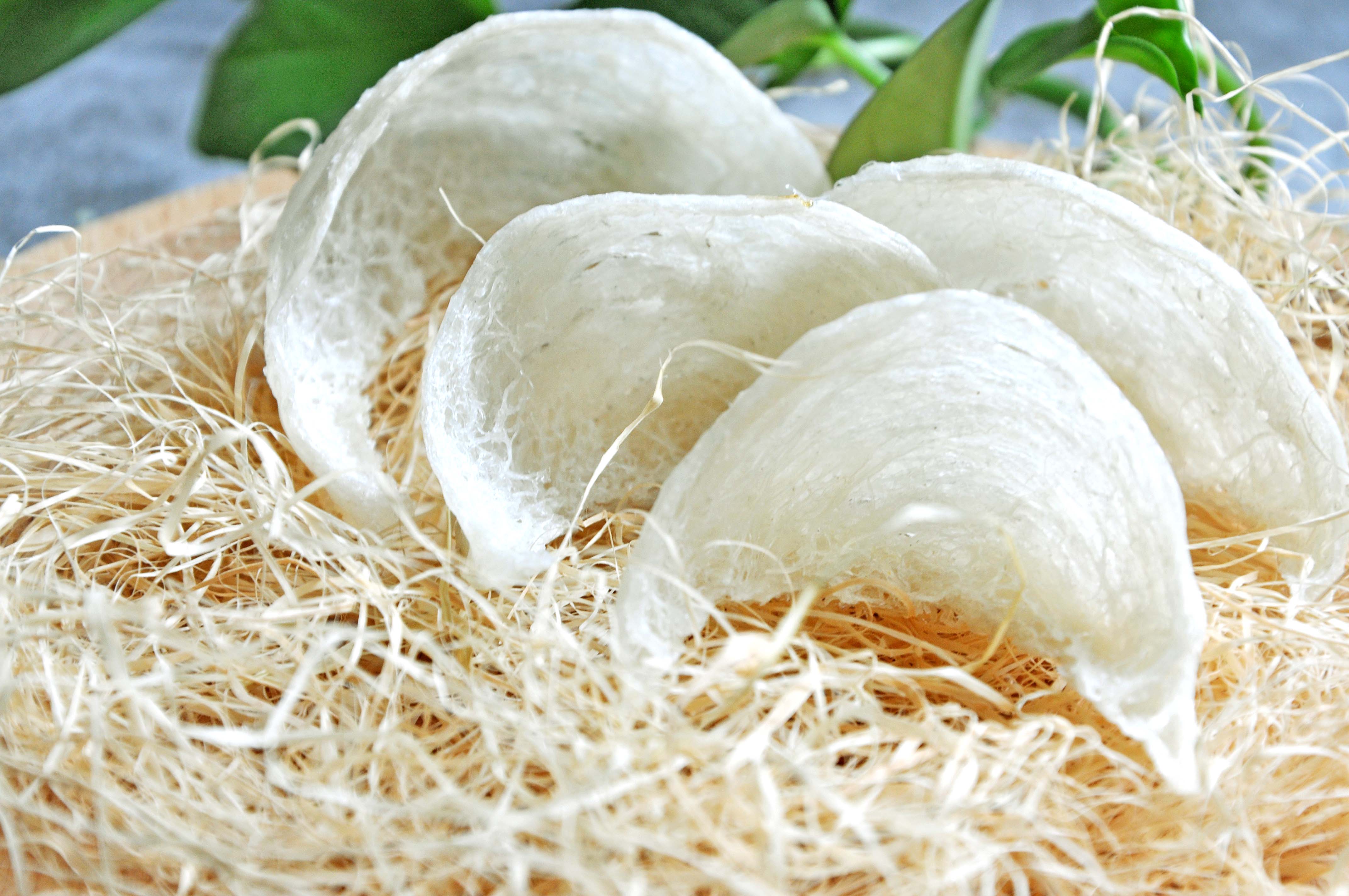 什么地方可以鉴定燕窝真假,陈老二燕窝滋阴丸真假辨别