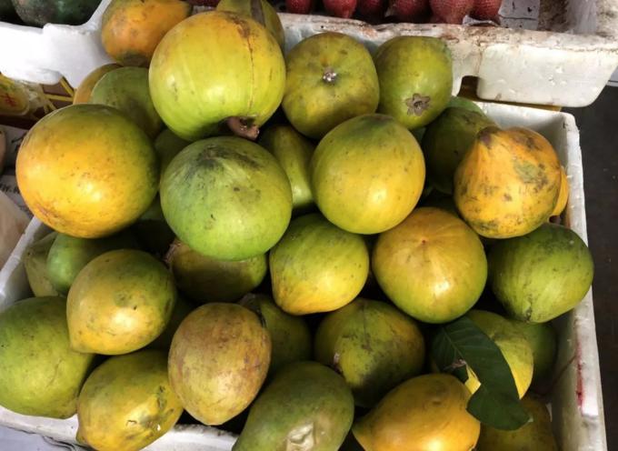 云南西双版纳旅游特色水果,云南西双版纳水果花