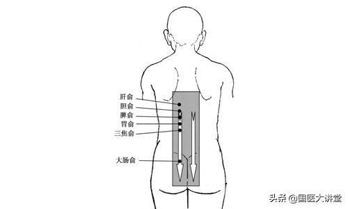 刮痧上腹部位置图,腹痛刮痧示意图