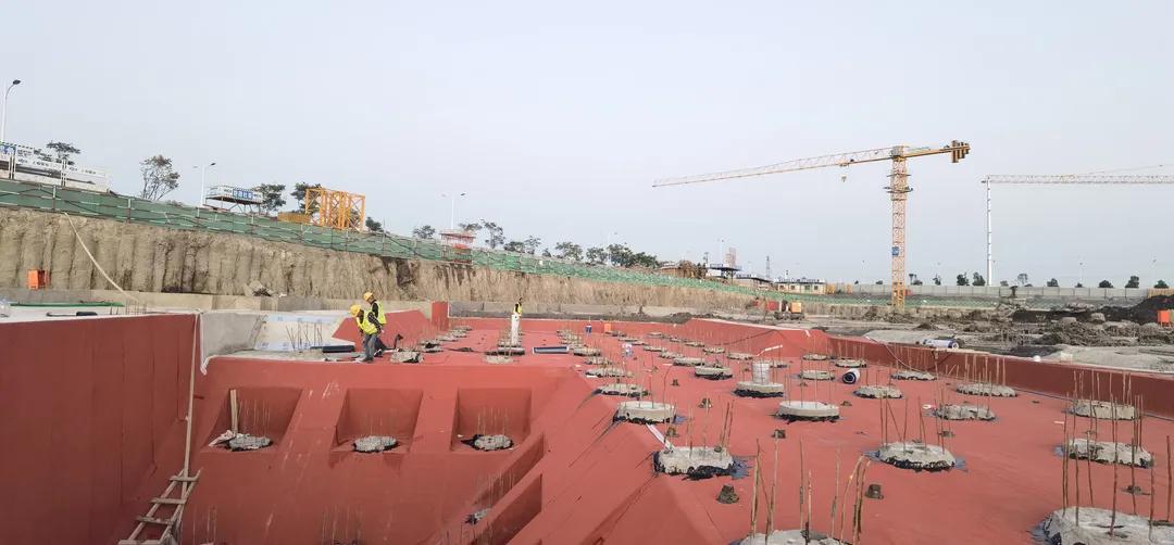 卓宝防水白富美,出手即证明高大上翻译