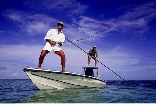 路亚竿选择看哪些指标,新手钓白条路亚竿怎么选择