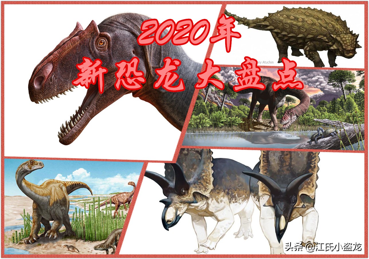 古生物生物学家,古生物科学家