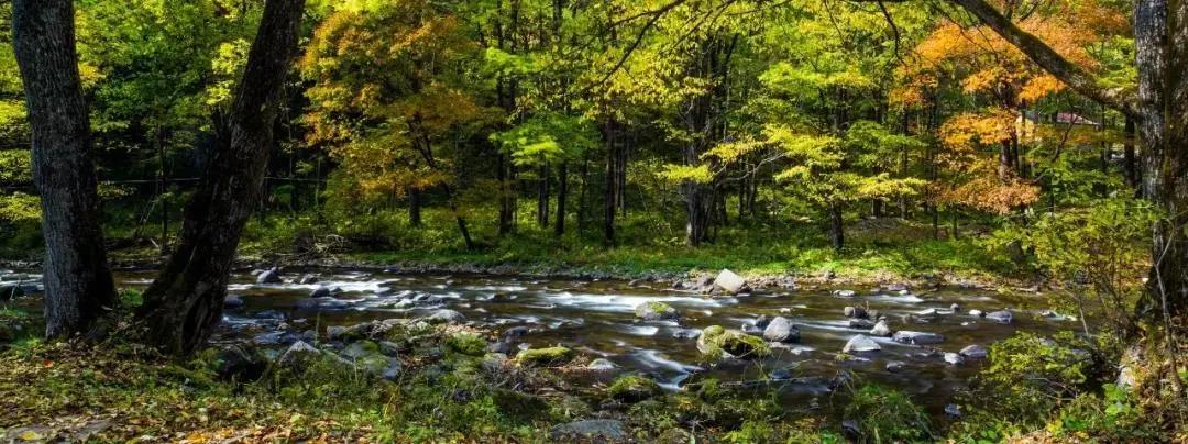 旅游景点畅玩团购,景点游玩优惠团购