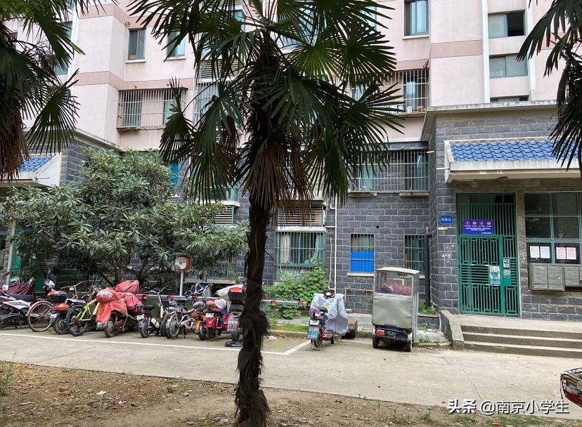 南师大附属中学江山小学地址,南师附中江山小学公示