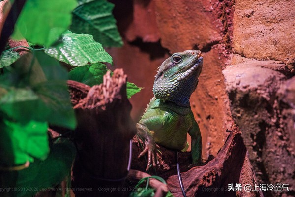 山东亲子乐园好玩吗,山东适合小宝宝玩的亲子乐园