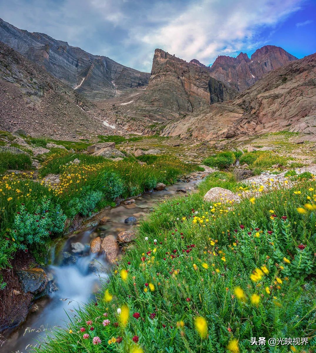野花的风景,2020国际风景摄影大赛获奖作品