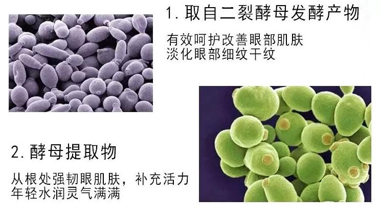 雅诗兰黛和兰蔻小黑瓶眼霜哪款好,兰蔻小黑瓶和雅诗兰黛眼霜哪个好