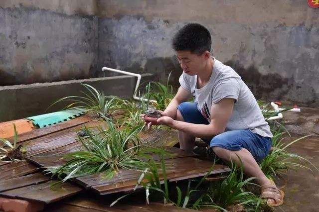 人工养殖最新消息今天,现在人工养殖到底能不能售卖啊