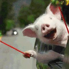 名创优品再次道歉视频,名创优品道歉声明内容