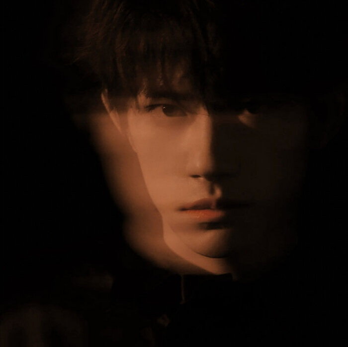 我家二爷小说,我家二爷