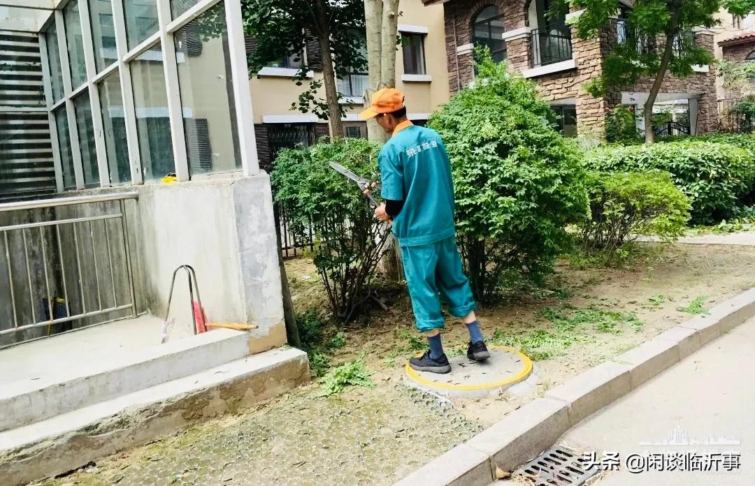 可圈可点，实探临沂学区老大哥三十五中，周边两万+的学区房