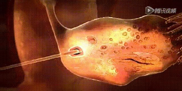 赌命交易是骗人的吗,一定要警惕骗人的套路